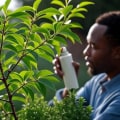 Exploring Natural and Alternative Treatments for Tree Diseases