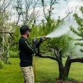 Effective Strategies to Prevent Tree Disease Spread in Your Yard