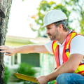 Essential Tree Inspections: How Often Should You Check for Disease?