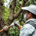 Understanding the Costs of Treating Tree Diseases: A Comprehensive Overview