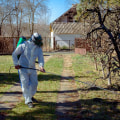 Effective Strategies for Managing Tree Disease Outbreaks in Your Yard