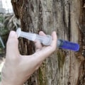 Strengthening Your Trees: Effective Strategies for Disease Prevention and Treatment