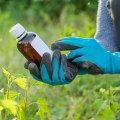 Eco-Friendly Approaches to Treating Tree Diseases