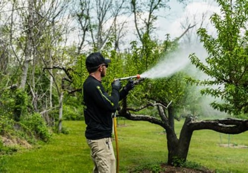 Effective Strategies to Prevent Tree Disease Spread in Your Yard