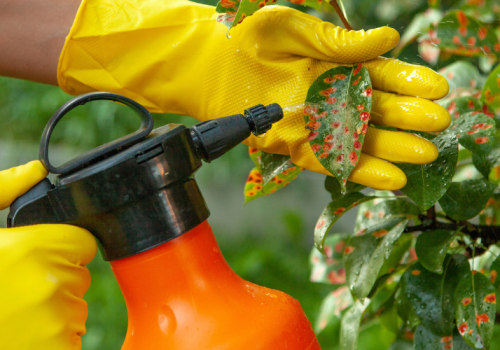 Understanding the Safety of Chemical Treatments for Tree Diseases