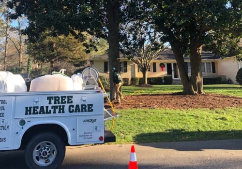 Expert Tree Disease Treatment & Care Costs in Virginia Beach