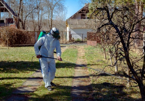 Effective Strategies for Managing Tree Disease Outbreaks in Your Yard