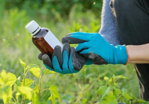 Eco-Friendly Approaches to Treating Tree Diseases
